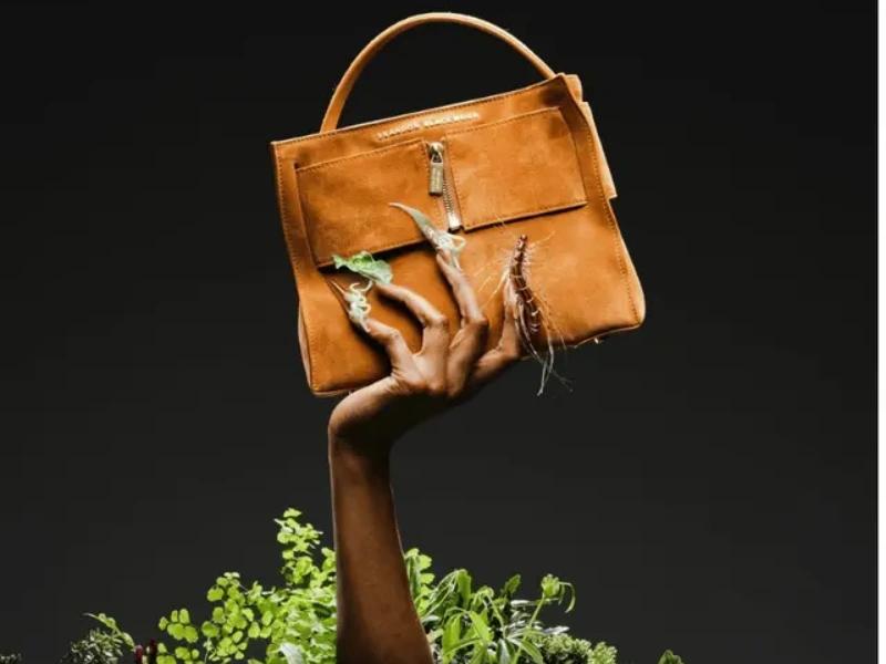 Market Performance & Feedback