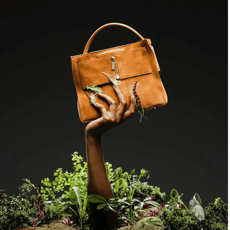 Brandon Blackwood NYC