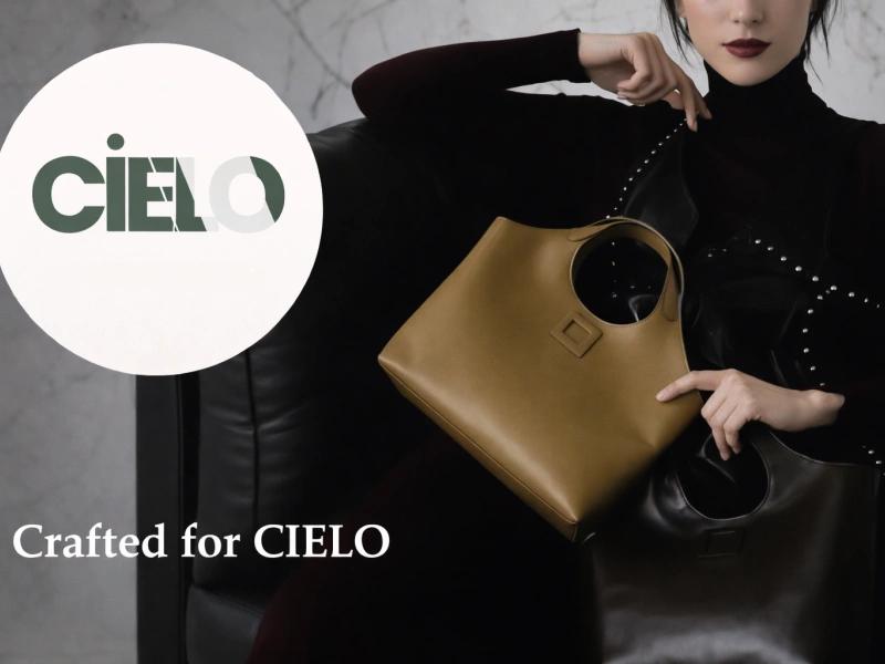 CIELO Project Outcome